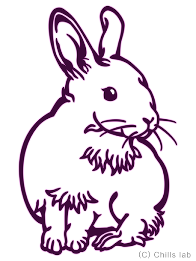 飼いウサギを線画イラストで描いた チルの工房 作品集 アイデアノート