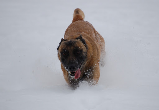 DSC_0110.JPG