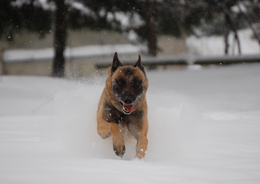 DSC_0079.JPG