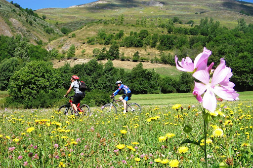 Bici Vall d'Aran.jpg
