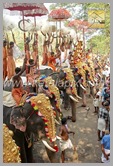 TPM_048_trichur_pooram_kerala_DSC_00