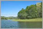 TDY_068_thekkady_DSC0015