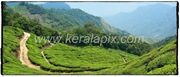 MNR_228_www.keralapix.com_DSC0248_DSC0249