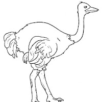 Aves (100).jpg
