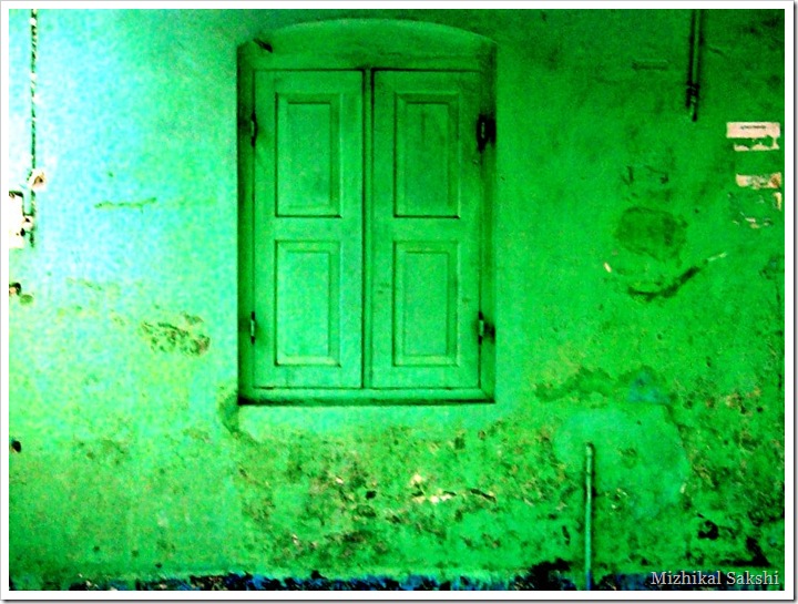 green window1