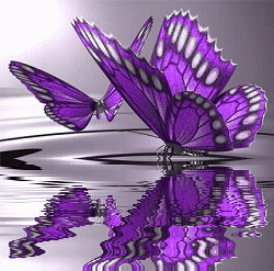 PurpleReflection.png