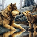 Wonderful Wolves Live Wallpape logo