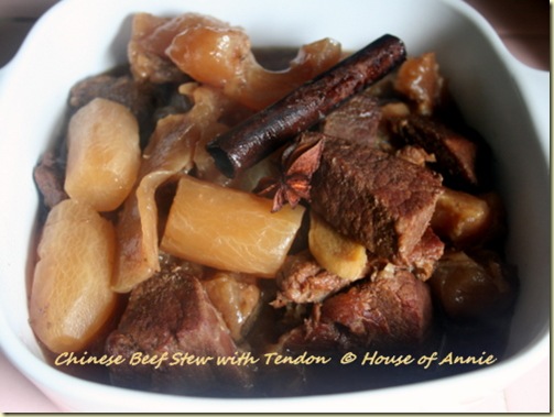 Chinese Beef and Tendon Stew