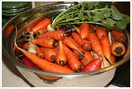 [carrot-parsnip-harvest - sustainable eats[2].jpg]