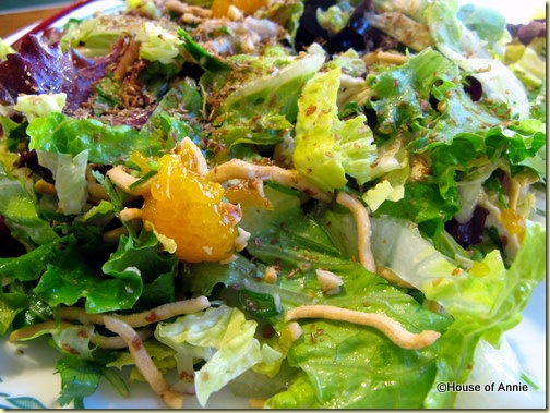 chinese chicken salad 2008