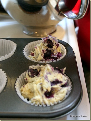 Blueberry Muffin Batter in Cups