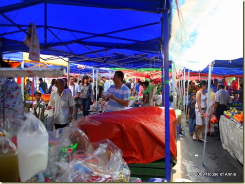 Satok Market under the canopies