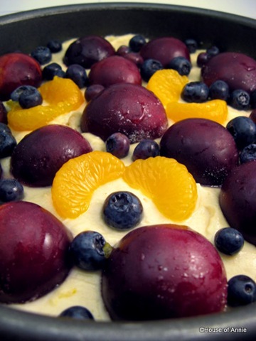 [Plum Blueberry Mandarin Fruit Pastry[3].jpg]