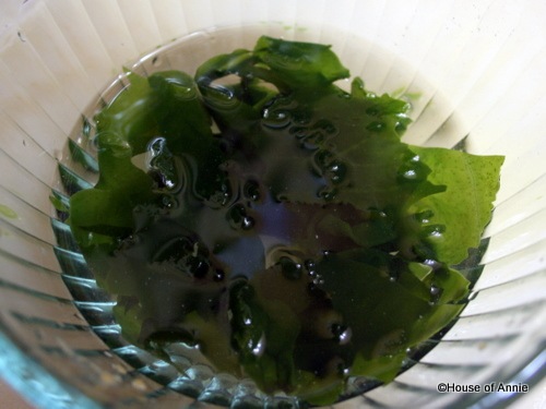 [wakame seaweed for miso soup[2].jpg]