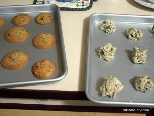 [baked and unbaked dirt cookies[2].jpg]