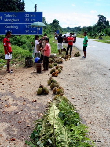 [roadside durian sellers outside serian[3].jpg]