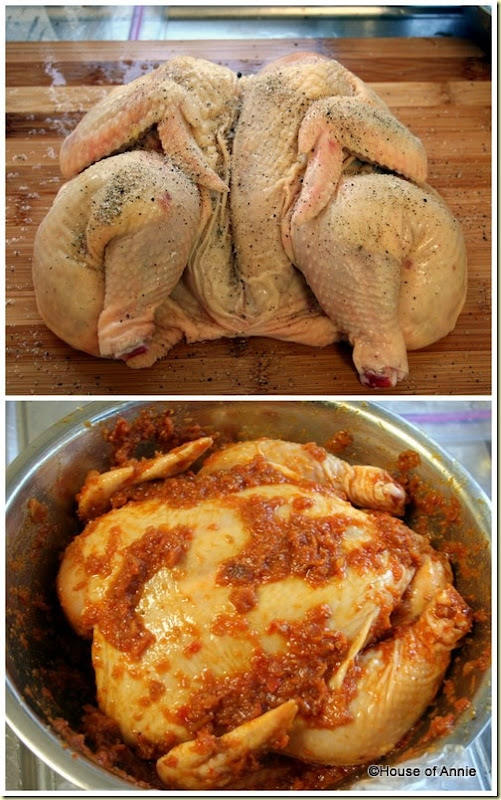 seasoning and marinating chicken ramadan