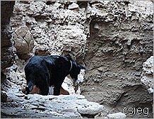 Gargoyle Canyon Tight Spot Ledge 6
