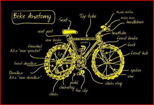 bike anatomy