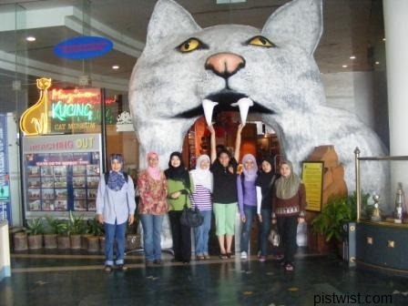 cat museum