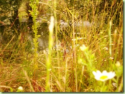 DSC01890