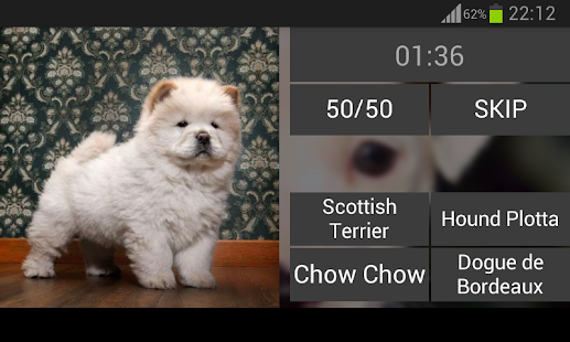 Guess the puppy Screenshots 7