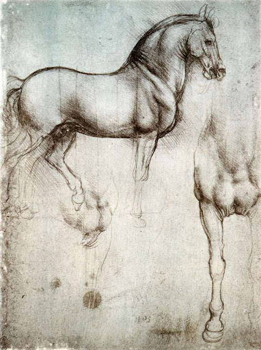 Étude de cheval - Léonard de Vinci