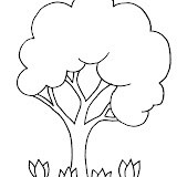 Flores7.jpg