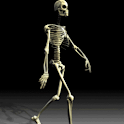 Skeleton Walks Live Wallpaper logo