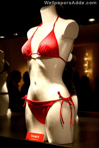 [Triumph+Launch+New+Advertising+Campaign+GVgdjbXm3wjl[2].jpg]