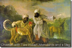cheetah painting by George Stubbs