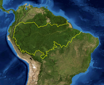 Amazon rainforest area