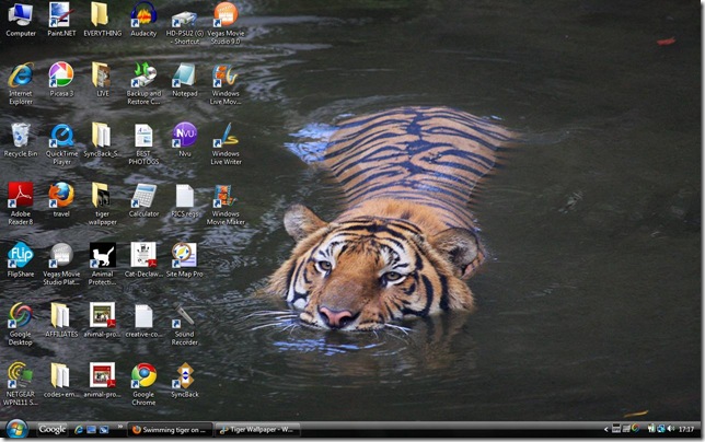 tiger in water tiger wallpaper 1