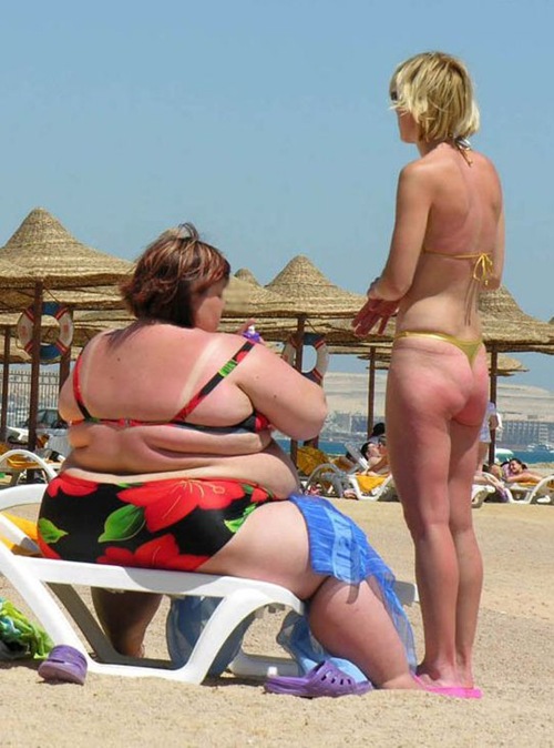 fatty on beach