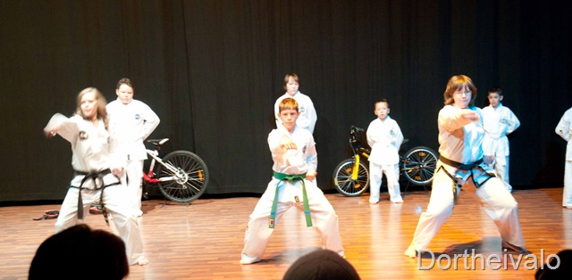 [taekwondo[6].jpg]