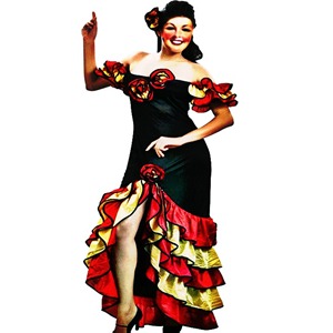 flamenco blogdeimagenes (3)