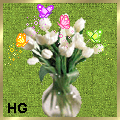 tulip_117171717171818171917 tulip_117171717171818171917