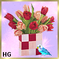 tulip_421212121212222212321 tulip_421212121212222212321