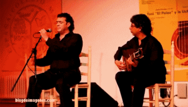 flamenco pelao flamenco pelao