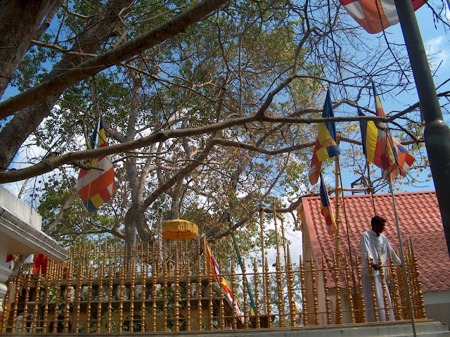 Buddha's Sacred Place, Anuradhapura - Sri Lanka Buddha's Sacred Place, Anuradhapura - Sri Lanka
