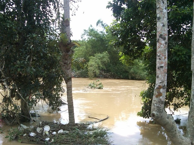 [Sungai Padang Terap (banjir bermula dari sungai ini) 4[4].jpg]