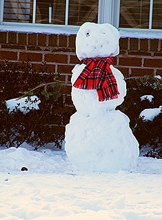 2011_0131foxsnowman0022