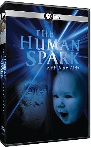 [spark 1[7].jpg]