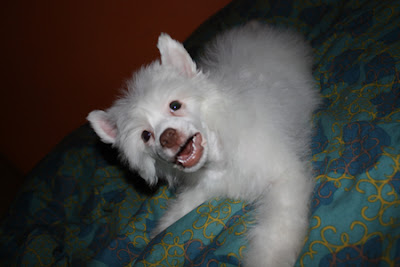 20100112_02.jpg