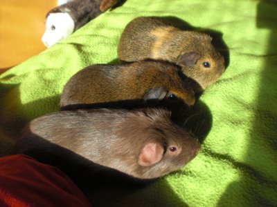20090222_14.jpg