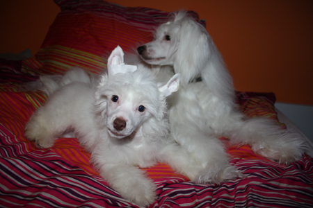 20091204_03.jpg