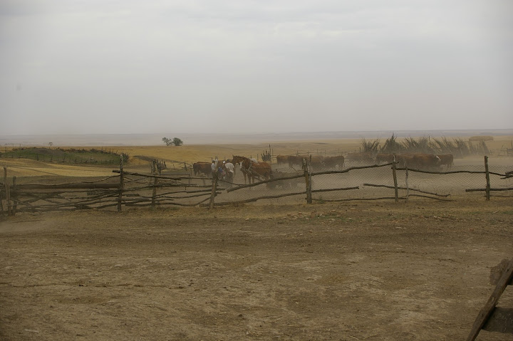 _IGP0621.JPG