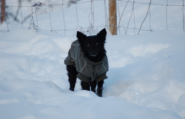 DSC_0005.JPG