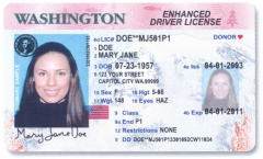 Washington enhanced driver license