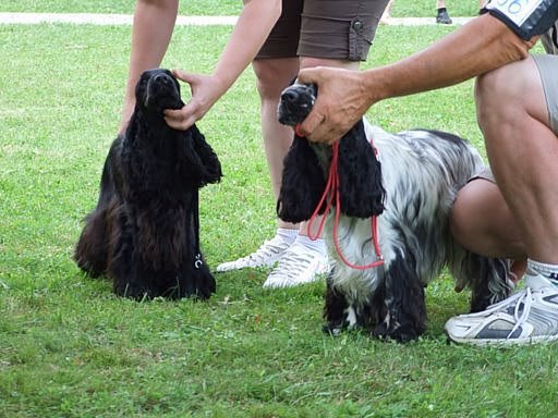 2009_07060345.JPG